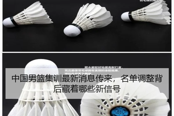 中国男篮集训最新消息传来，名单调整背后藏着哪些新信号 | 1xbetsports